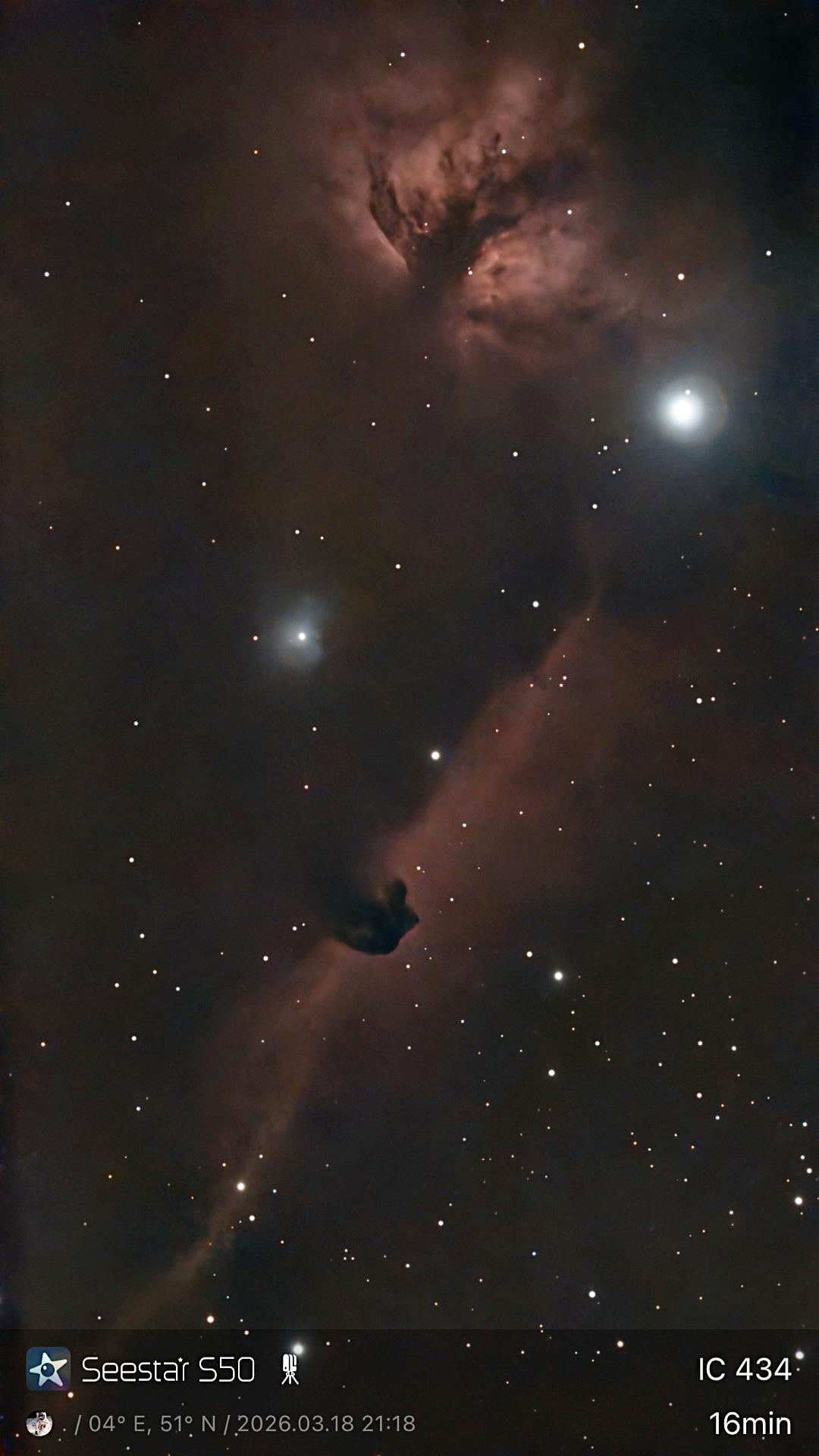 🐴 Horsehead and Flame Nebulas - Seestar S50